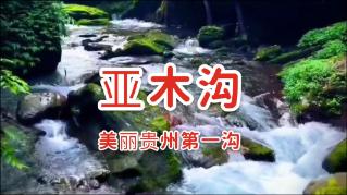 鞠婧祎起床就吃蜂胶,范丞丞瞬间被安利,腆着脸就跟小鞠要!
