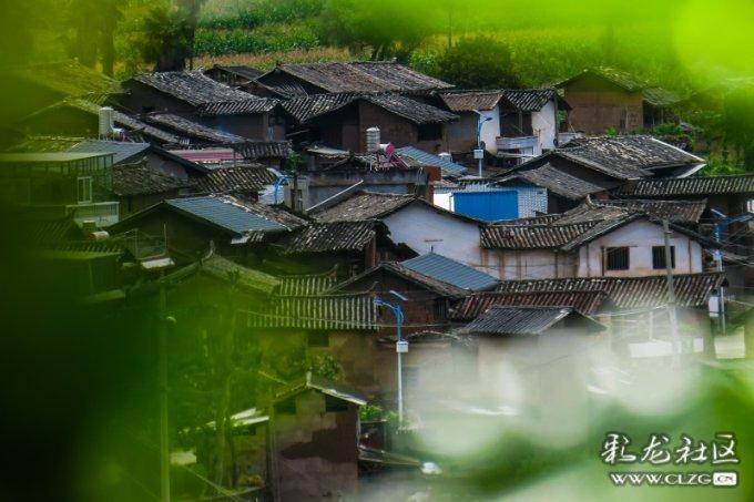 子弹风暴