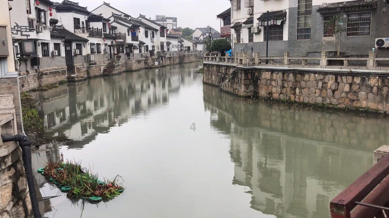 萌犬找不同