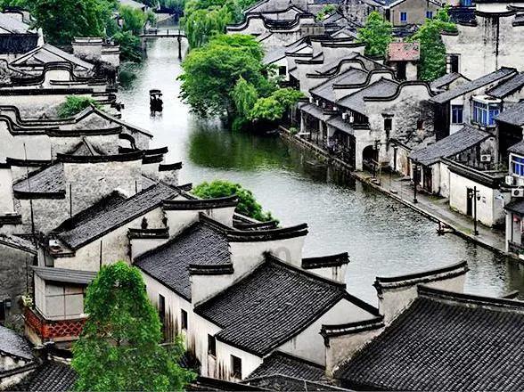 破碎的动物图形2